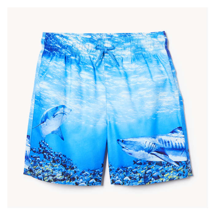Toddler Boys' Swim Trunk